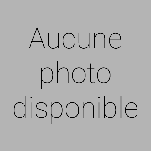 Renault TRAFIC - FOURGON L2H1 3000 KG BLUE DCI 150 EDC CONFORT